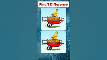 Ultimate Puzzle Challenge: Find 3 Hidden Differences!🥸#findthedifferences #brainexercise #quiz