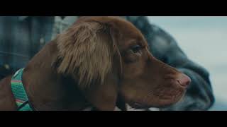 Petsmart X Blue Feed Their Wild Side October Offer