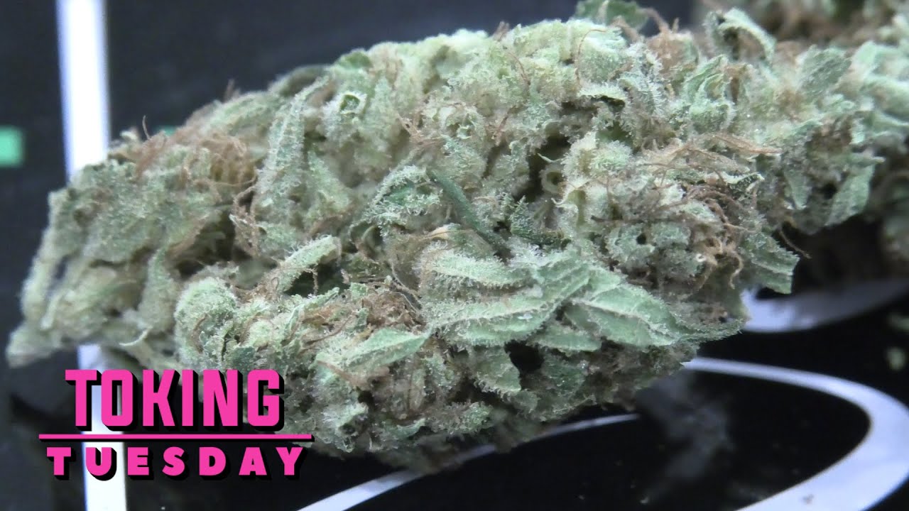 Nebula Toking Tuesday