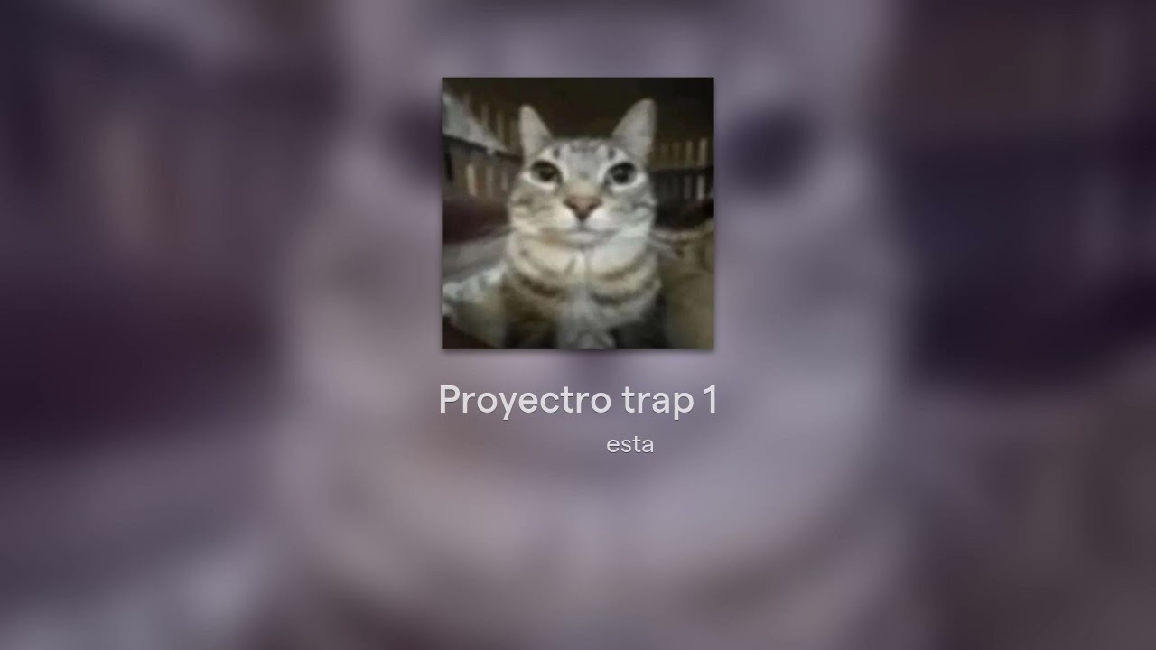 Proyectro trap 1