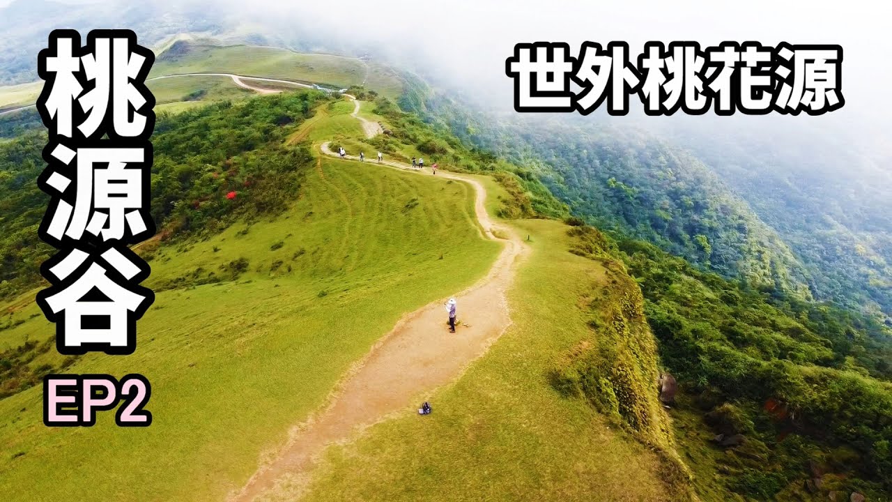 世外桃花源 貢寮桃源谷 Ep2 2 原來車子可以直接開到桃源谷觀景平台 霧終於散了 真的太美了 壯觀的牛群 360度山海之戀 結合合歡山與擎天崗 一望無際的世外桃花源