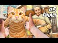 KEDİLER İÇİN MUTLU SON! - iplusd Copycat FİNAL #5