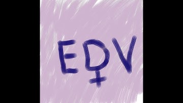 Access und SQL Befehle (5) - Tabellen kopieren SELECT INTO- DELETE