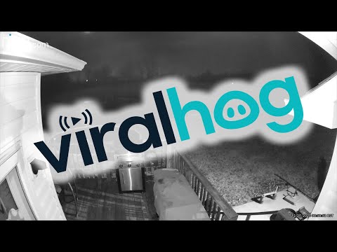 Ring Camera Catches Meteor at Night || ViralHog