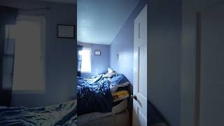 183 Pancake Hollow Rd video tour