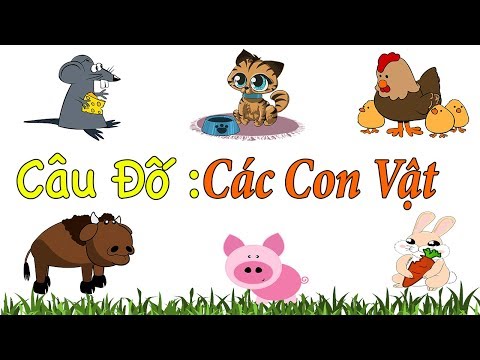 Câu Đố Vui Về Các Loài Động Vật Phần 2 Giúp Bé Phát Triển Trí Thông Minh Sớm