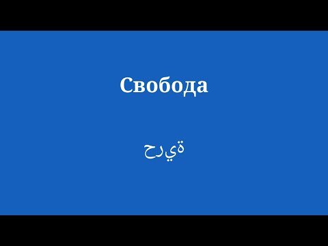 10 минут на изучение арабского: от права до гражданина