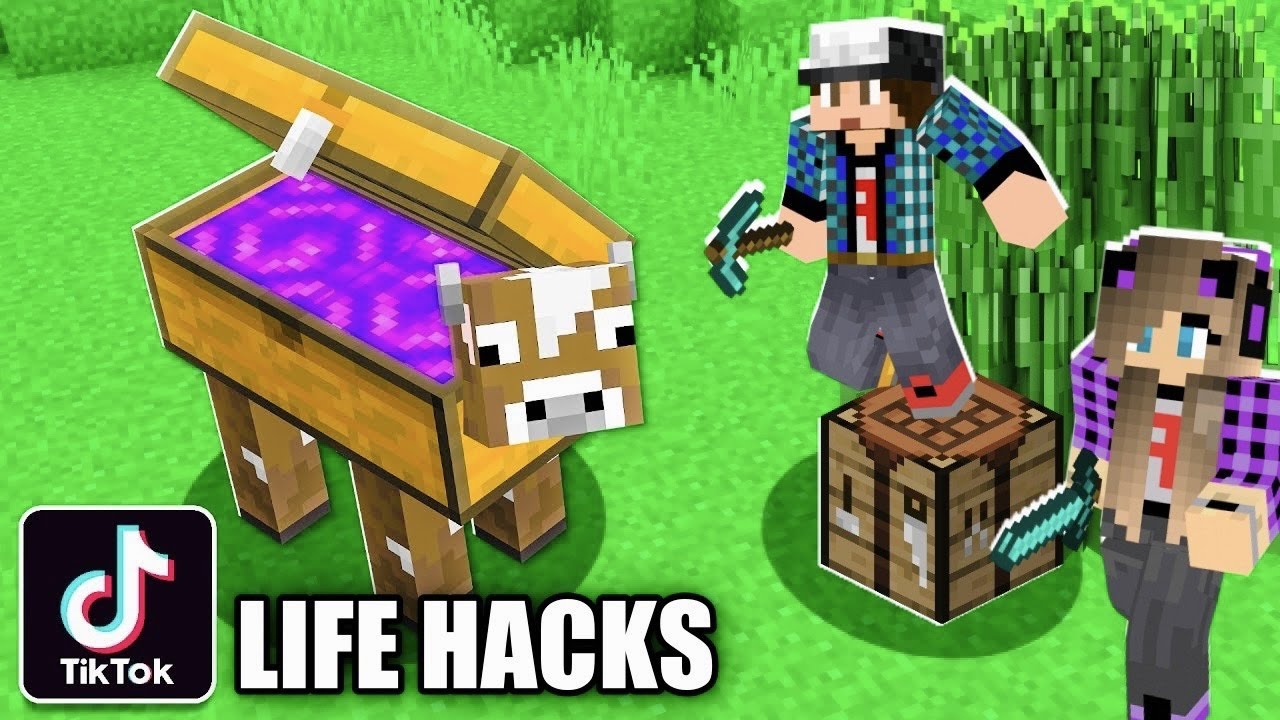 Απίστευτα TikTok Life Hacks Minecraft Famous Games @LetsPlayKristina
