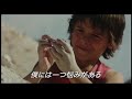 『ボビーとディンガン』日本版劇場予告編
