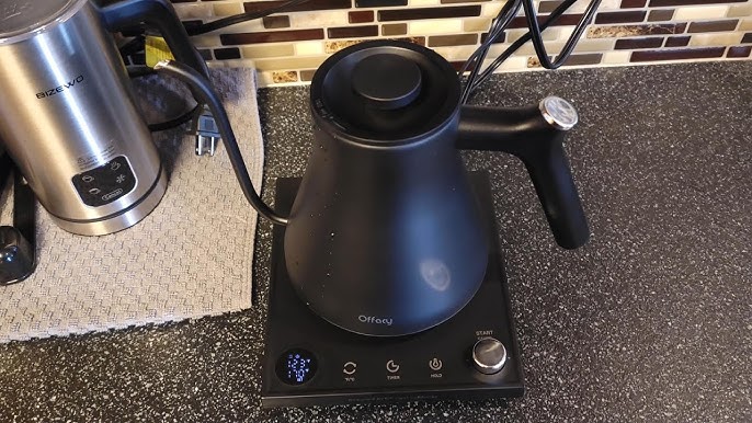 Live - Honest Review of the Offacy Electric Kettle!