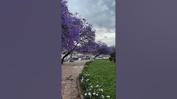 {وترى الجبال تحسبها جامدة} سورة النمل💜 عبد الرحمن مسعد #ارح_قلبك