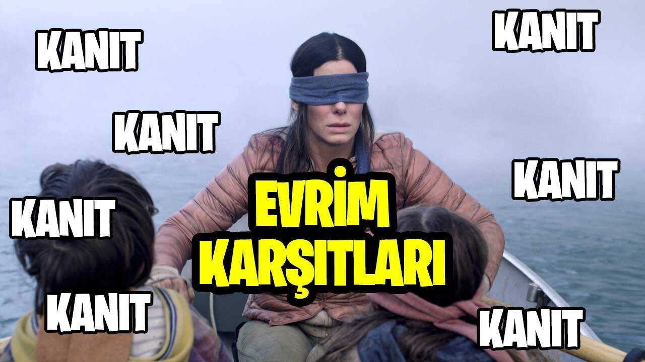 evrim