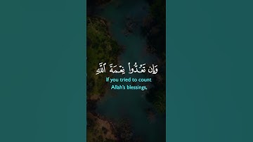 #سورة_إبراهيم #الشيخ_خالد_الجليل #القرآن_الكريم #اكسبلور #تلاوة_خاشعة #fypyoutube #fypforyou