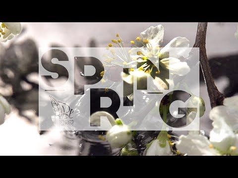 3 hours of relaxing music - Physical and mental activity – SPRING 2019 / Chillout Active Music