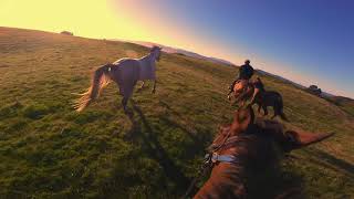 GoPro Horse Riding - Free Run 🐎