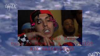 "Duty" Peso Peso BASSBOOOSTED MIX PROD DJ SNOW CP & OTTO PILOT Previo Vídeo FX Rap In PDC