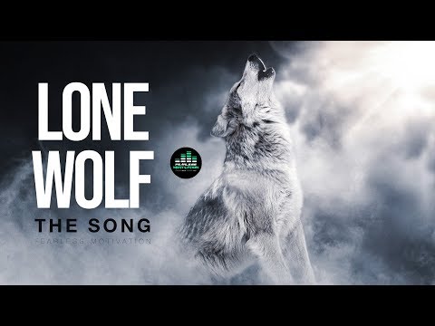 Lone Wolf, Lone Wolves HD phone wallpaper | Pxfuel