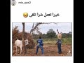 خيرا تعمل شرا تلقى 