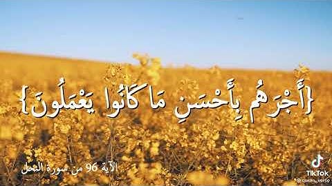 ماعندكم ينفد وما عند الله باق / قران كريم / فارس عباد ♥