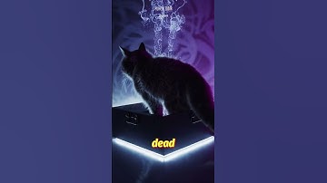 Schrödinger’s Cat Explained: Alive, Dead… or Both?