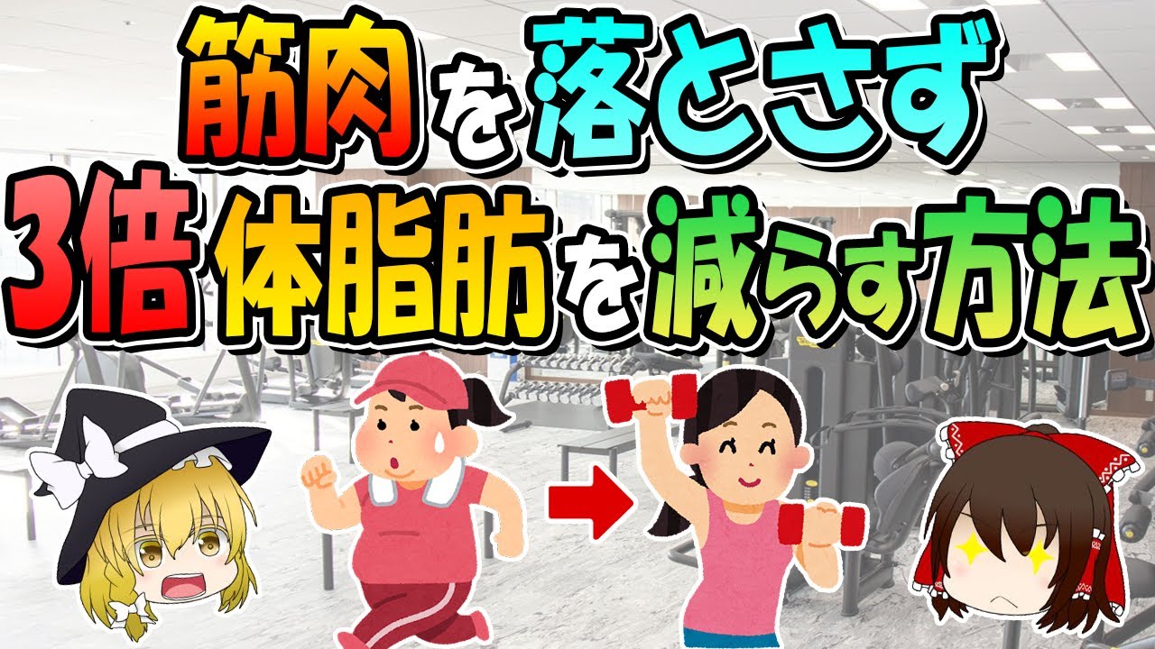 筋肉を落とさず3倍体脂肪率を減らす方法3選