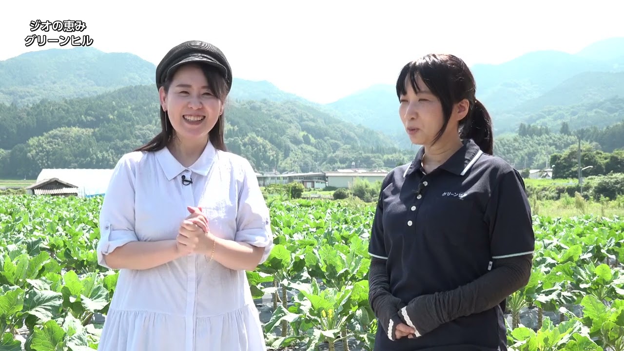 ファンケル 搾りたてケール青汁 3000g (100g×15袋)×2箱＞ 濃縮野菜