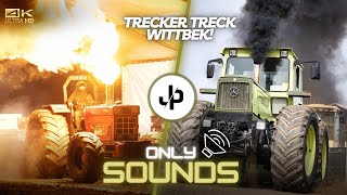 Über 1000PS! Trecker Treck Meisterschaft! Tractorpulling Sound! 🔊 || JP Agrar