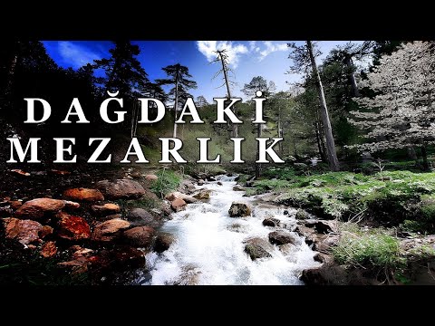 DAĞDAN GELEN SU | GECE SU DOLDURMAYA GİTTİĞİMİZDE YAŞADIĞIMIZ ÜRPERTİCİ  OLAY | KORKUNÇ OLAYLAR |374