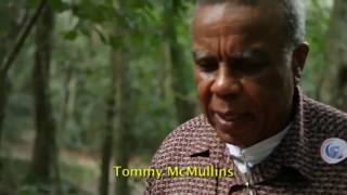 The Real Facts of Cu Chi Tunnels - Vietnam Travel Group
