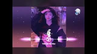 Xiao Sa Zou Yi Hui 瀟灑走一回 - Dj Remix  [Lagu Mandarin]
