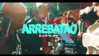 El alfa “el jefe” Arrebatao Video oficial Joselapiedra Tv