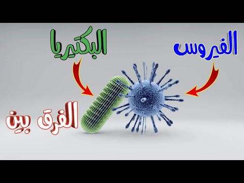 فيديو: كم من الوقت تعيش الفيروسات والبكتيريا؟