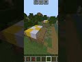 Minecraft but I'm stuck at half a heart