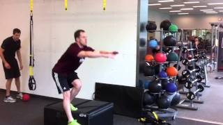 Single Leg Plyo box Squats (Toe Dips)