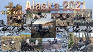 Troy Sessions - Hug Success Moose & Caribou Hunting Alaska 2021 by 60 Inch Club 3,200 views 2 years ago 4 minutes, 16 seconds