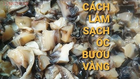 Cách Làm Ốc Bươu Vàng Sạch Trơn ,Hết Nhớt
