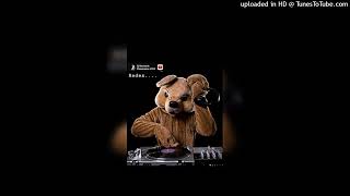 Cover Chinameras 2024