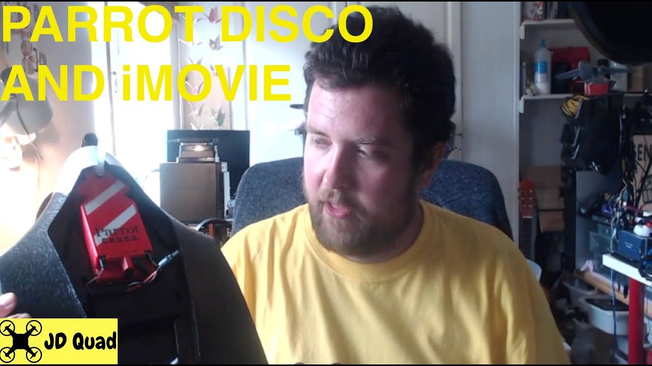 VIDEO PARROT DISCO SCARICA