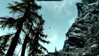 skyrim - hawk hunting