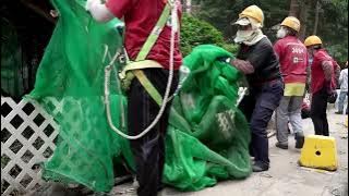 Hong Kong orders scaffolding nets removed after high rise fire | REUTERS