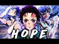 Nf  hope amv 