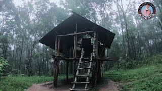 เดินป่าช่วงพายุเข้า เจอกระท่อมร้าง ในป่า อาศัยพักนอน