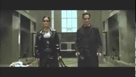 The Matrix Wild International