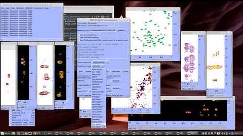 NMRFAM-SPARKY: Fully Automated Assignment and Structure Calculation (I-PINE / PINE-SPARKY.2)