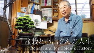 [盆栽の先輩に聴く] 石化ヒノキの達人。小出氏