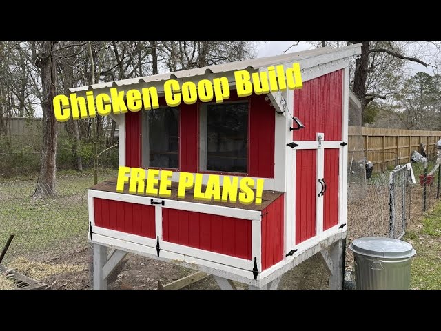 Facil dispensador de agua para perros  Pet chickens, Chickens backyard,  Dog house diy