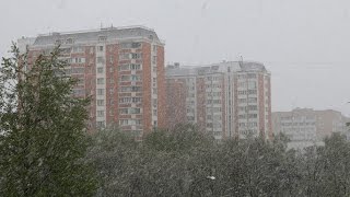 Winter returned to Moscow. Snowfall in Moscow. May 8, 2017. Canon 70d Video test