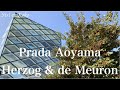 Prada aoyama designed by herzog  de meuron voice english 