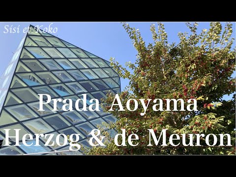Prada Aoyama designed by Herzog & de Meuron (Voice: English