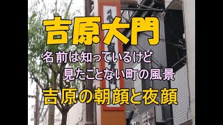 吉原の朝と夜の風景 閲覧注意 名前を知っていても見たことない街並み Youtube